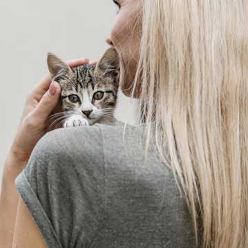 Servicio de DPD externo en Caudete